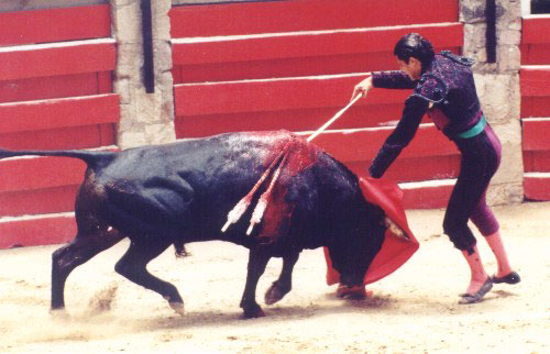 bullfight2.jpg (44246 bytes)